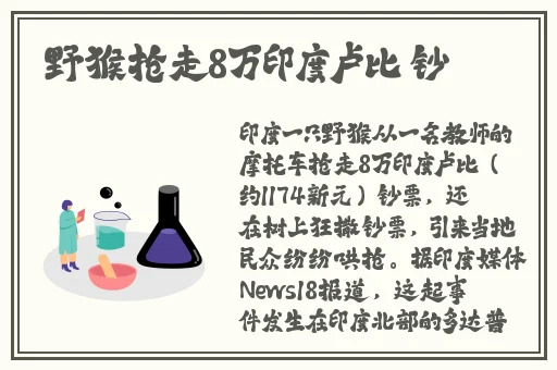 紧致细腻白嫩饱满丰盈